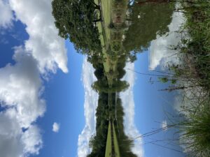 A calm lake reflecting clouds and trees, with grassy banks in the foreground.